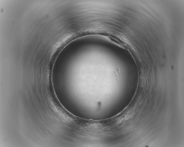 X0000087390446200705042014