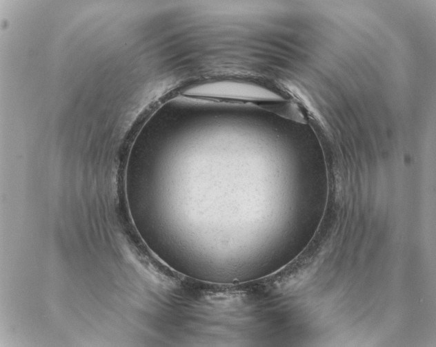 X0000087390447200705042014