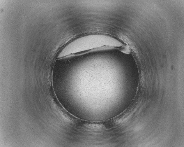 X0000087390449200705042014