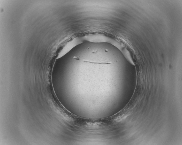 X0000087390450200705042014