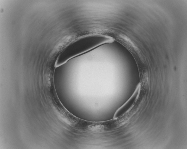 X0000087390452200705042014