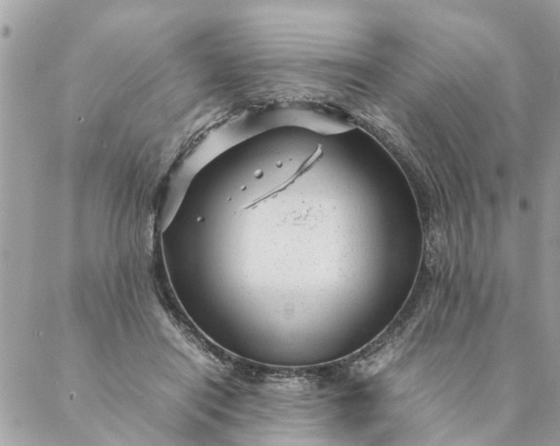 X0000087390454200705042014