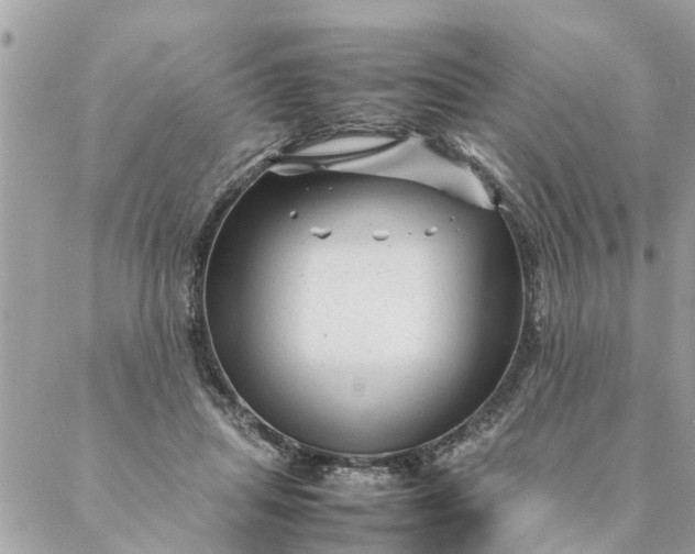 X0000087390455200705042014