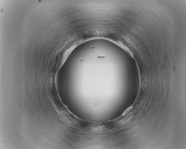 X0000087390456200705042014