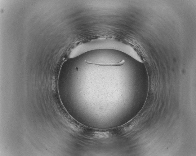 X0000087390457200705042014