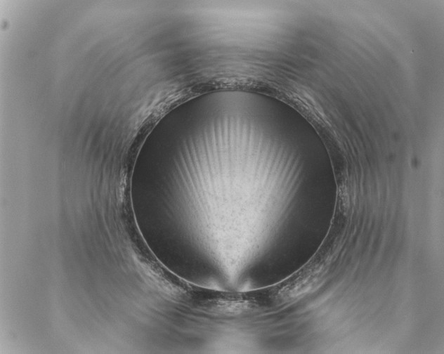 X0000087390458200705042015