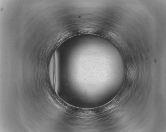 X0000087390459200705042015