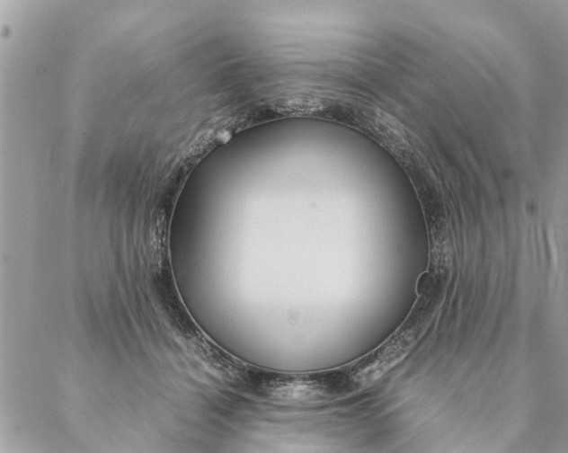 X0000087390460200705042015