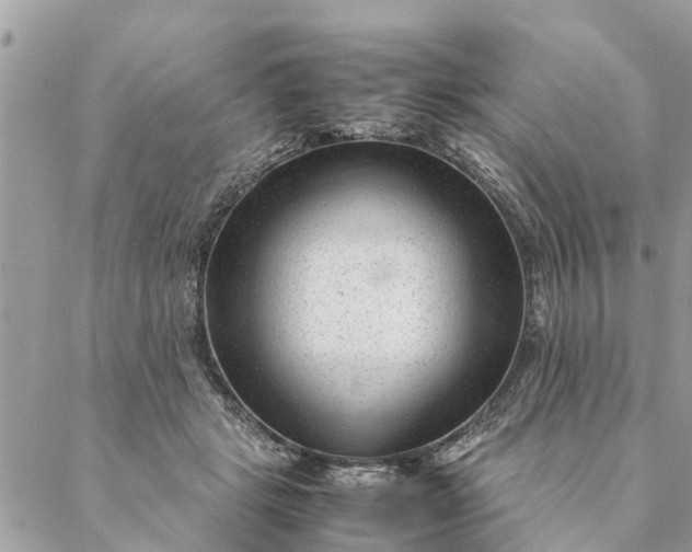 X0000087390461200705042015