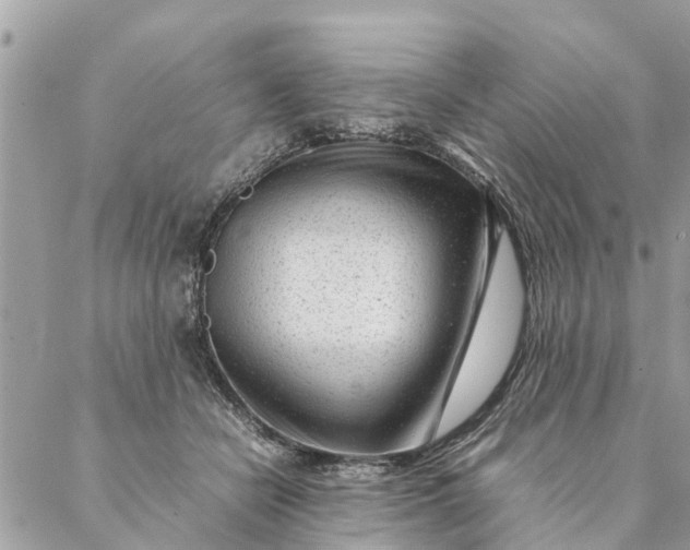 X0000087390462200705042015