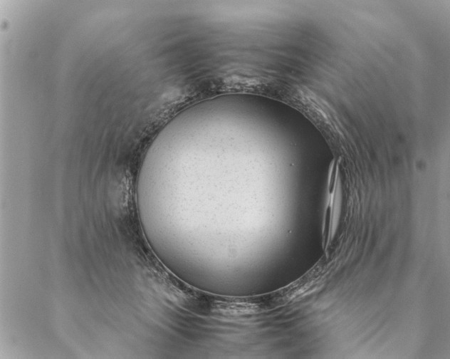 X0000087390463200705042015