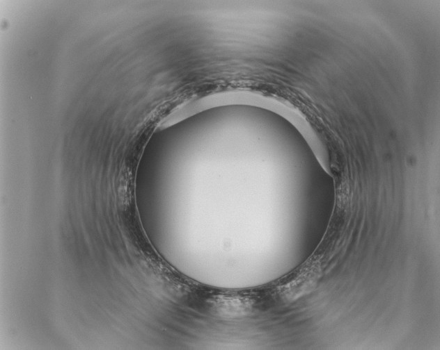 X0000087390464200705042015