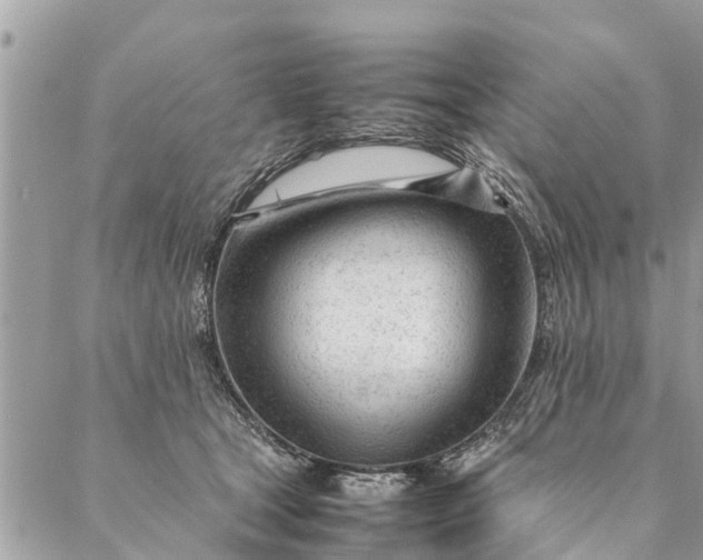 X0000087390465200705042015