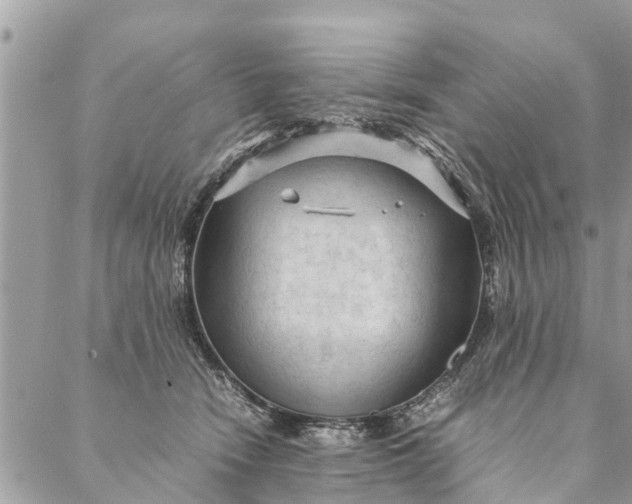 X0000087390466200705042015