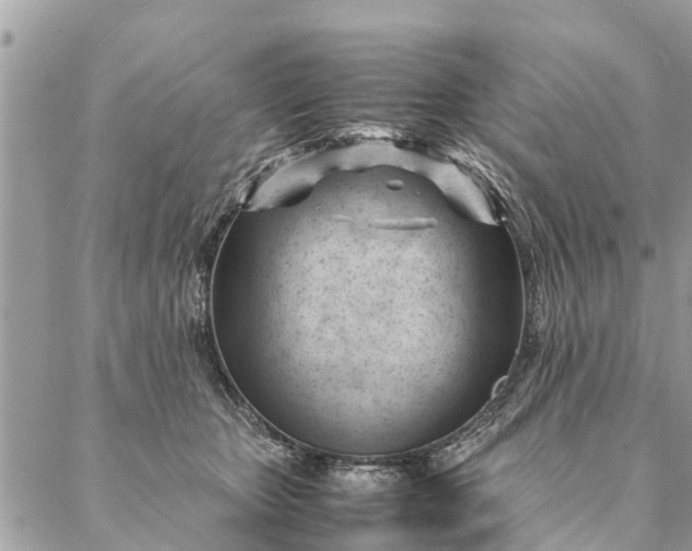 X0000087390467200705042015