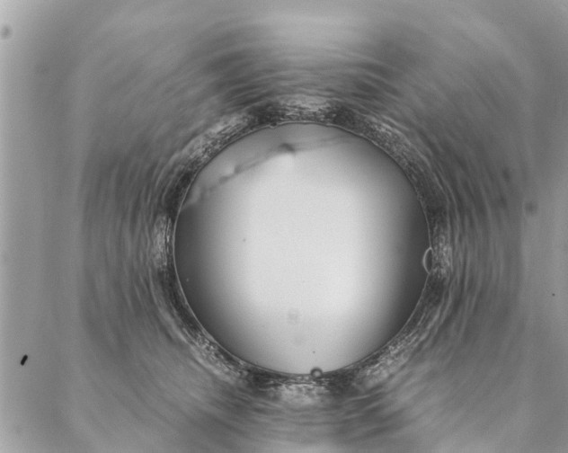 X0000087390468200705042015