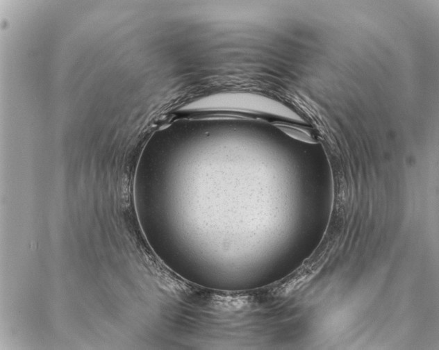 X0000087390469200705042015