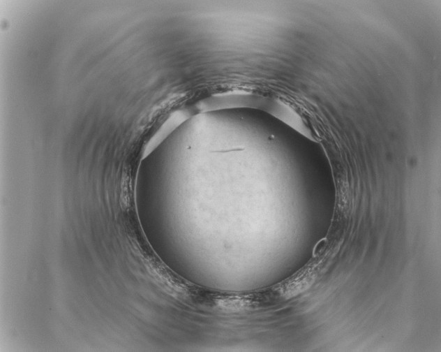 X0000087390470200705042015