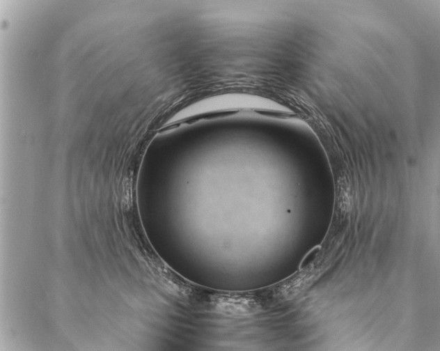 X0000087390471200705042015