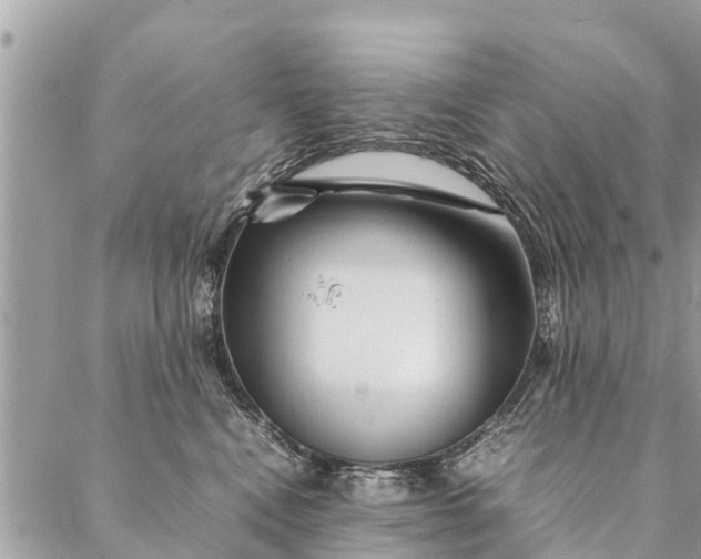 X0000087390472200705042015