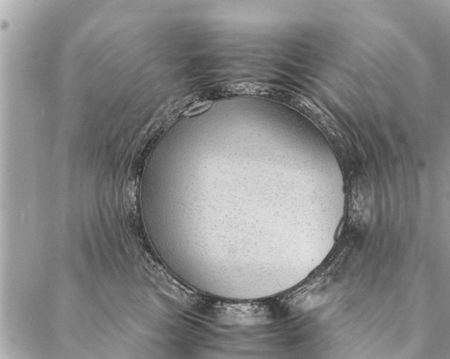 X0000087390473200705042015