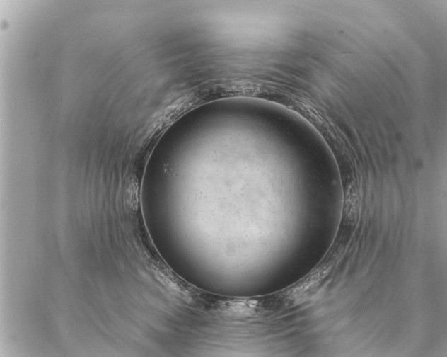 X0000087390474200705042015