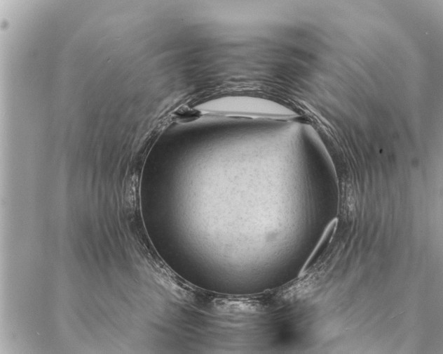 X0000087390475200705042015