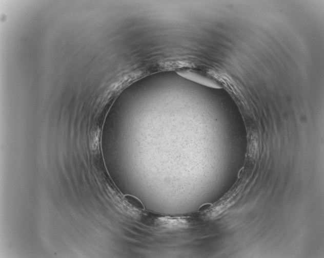 X0000087390477200705042015