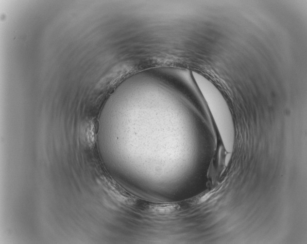 X0000087390479200705042015