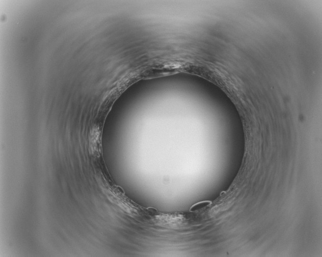 X0000087390480200705042015