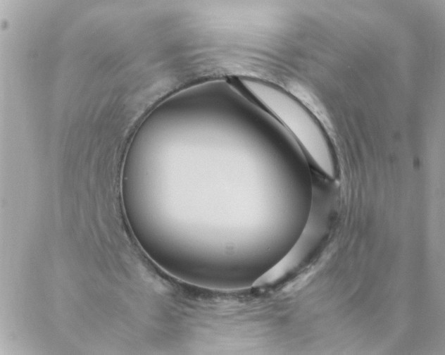 X0000087390481200705042014