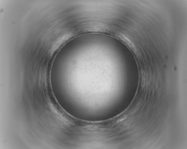 X0000087390482200705042014