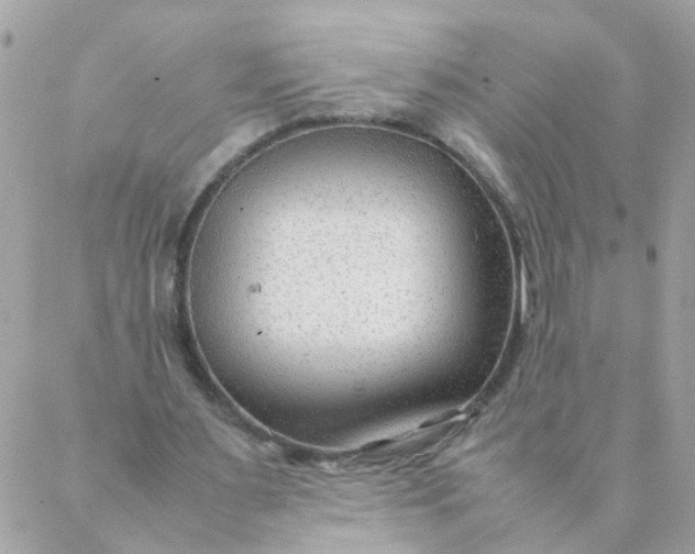 X0000087390483200705042014