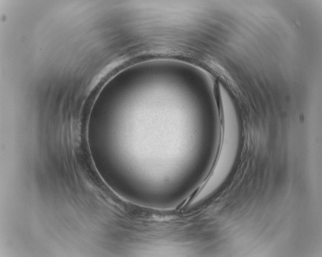 X0000087390484200705042014