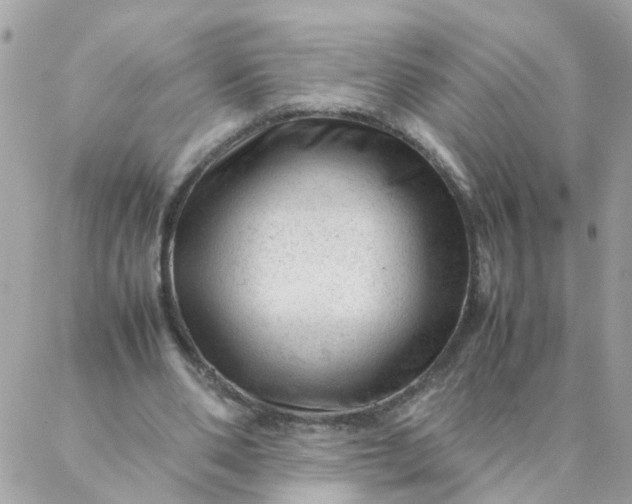 X0000087390486200705042014