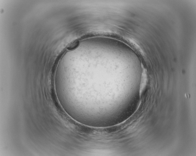 X0000087390487200705042014