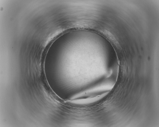 X0000087390488200705042014