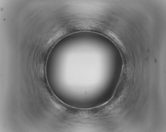 X0000087390489200705042014