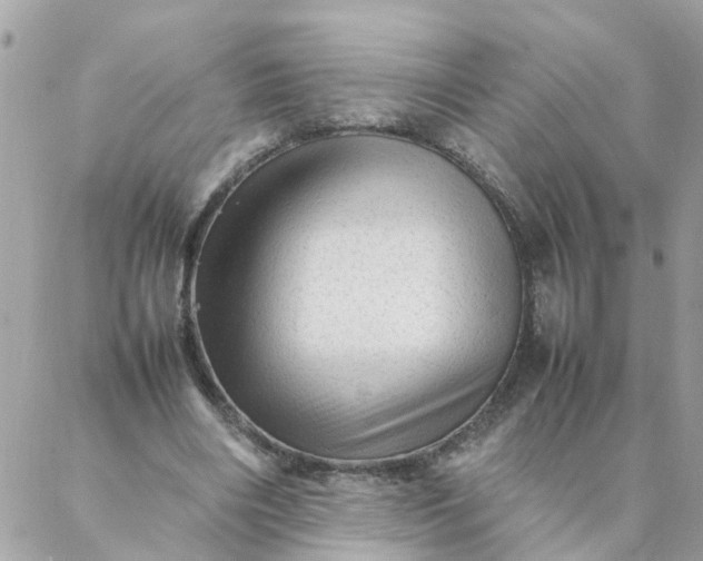 X0000087390490200705042014