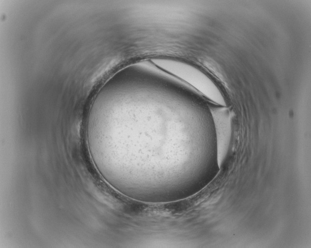 X0000087390491200705042014