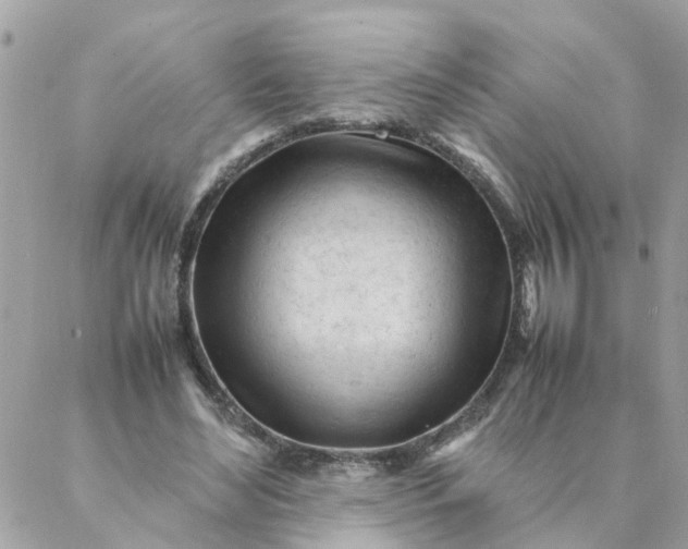 X0000087390492200705042014