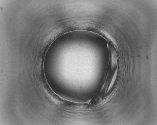 X0000087390493200705042014