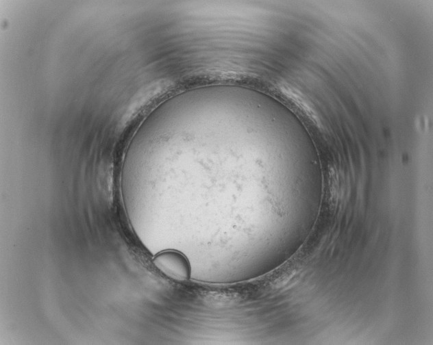 X0000087390494200705042014