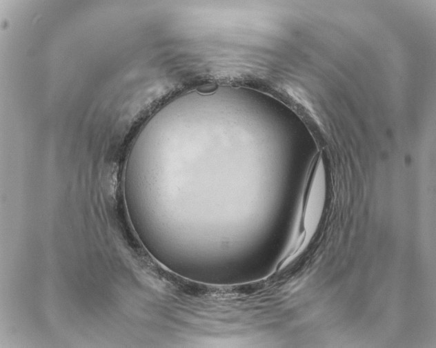 X0000087390495200705042014