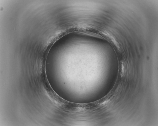 X0000087390496200705042014