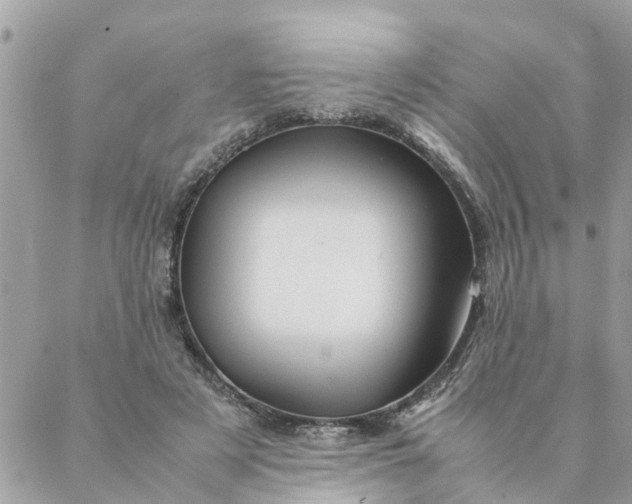 X0000087390497200705042014