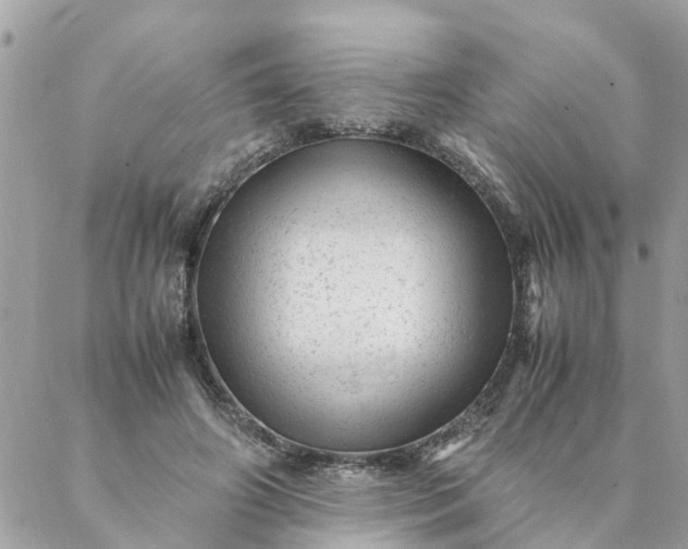 X0000087390498200705042014