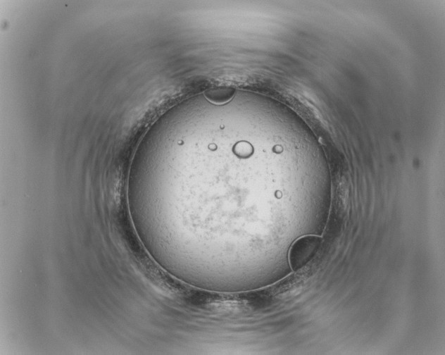 X0000087390499200705042014