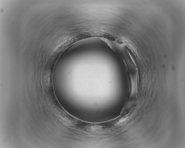 X0000087390501200705042014