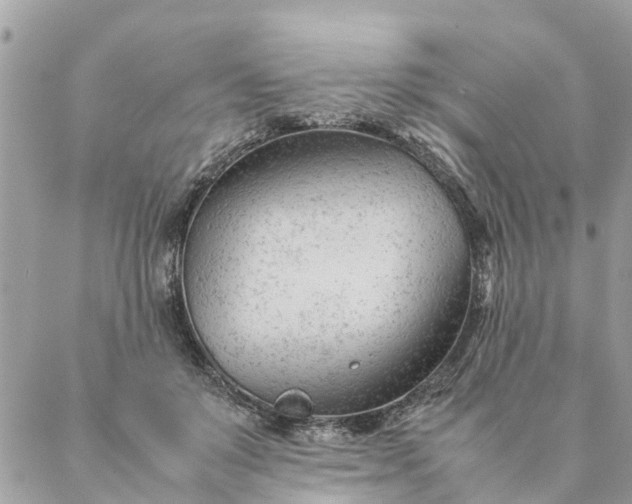 X0000087390503200705042014